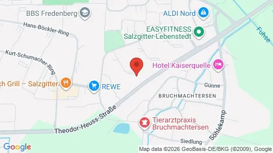 Apartments for rent in Salzgitter - Photo from Google Street View