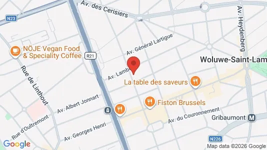 Apartments for rent i Brussels Sint-Lambrechts-Woluwe - kort over placeringen