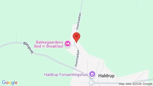 Apartments for rent i Horsens - kort over placeringen