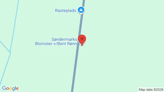 Apartments for rent in Lemvig - Photo from Google Street View