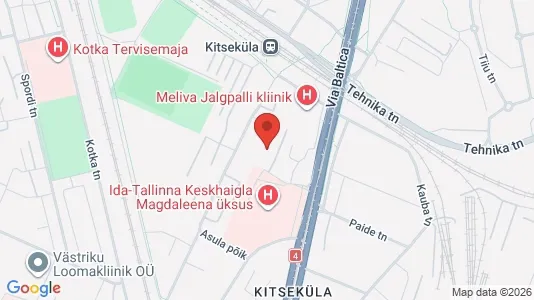 Apartments for rent in Tallinn Kesklinna - Photo from Google Street View