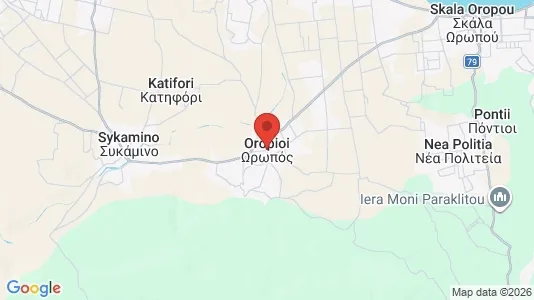 Houses for rent in Oropos - Photo from Google Street View