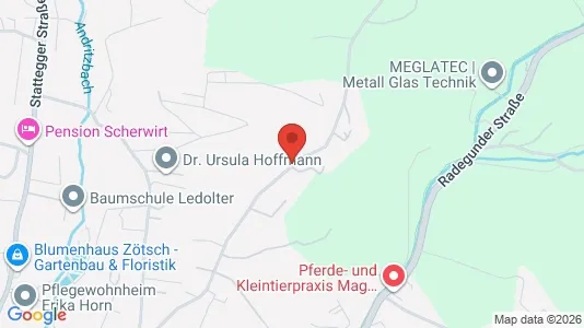Apartments for rent i Graz - kort over placeringen