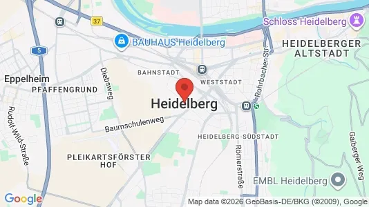 Houses for rent in Heidelberg - Photo from Google Street View