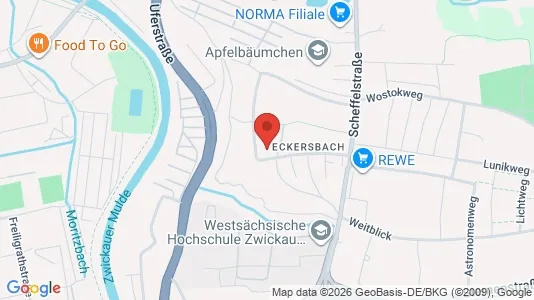 Apartments for rent in Zwickau - Photo from Google Street View