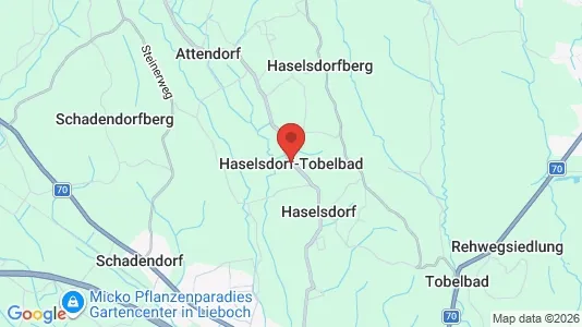 Apartments for rent i Haselsdorf-Tobelbad - kort over placeringen