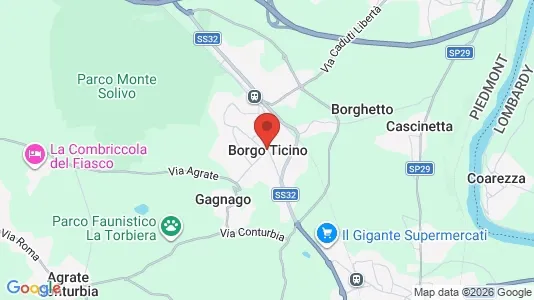 Apartments for rent i Borgo Ticino - kort over placeringen