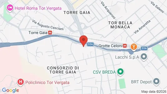 Apartments for rent i Roma Municipio VI – Roma Delle Torri - kort over placeringen