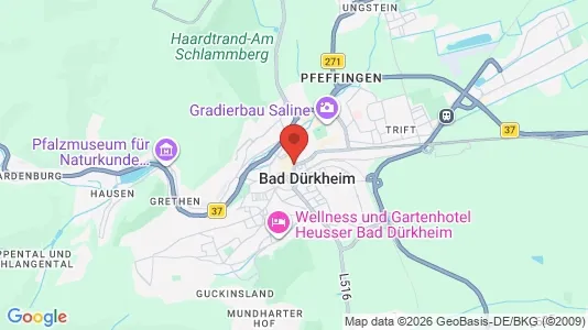 Apartments for rent in Bad Dürkheim - Photo from Google Street View