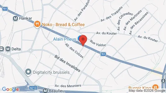 Apartments for rent i Brussels Oudergem - kort over placeringen