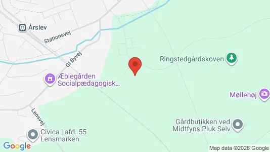 Apartments for rent i Årslev - kort over placeringen