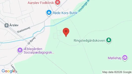 Apartments for rent i Årslev - kort over placeringen