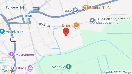 Apartments for rent i Tongeren - kort over placeringen