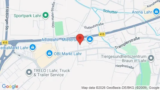 Apartments for rent in Ortenaukreis - Photo from Google Street View