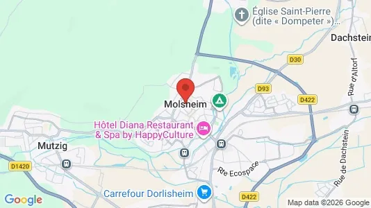 Houses for rent i Molsheim - kort over placeringen