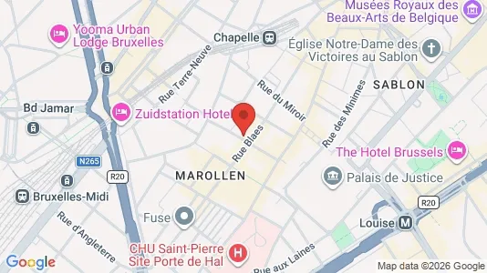 Apartments for rent i Stad Brussel - kort over placeringen