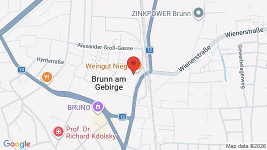 Apartments for rent i Brunn am Gebirge - kort over placeringen