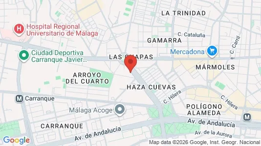 Apartments for rent i Málaga - kort over placeringen