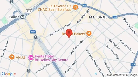 Apartments for rent i Brussels Elsene - kort over placeringen
