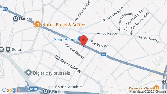Apartments for rent i Brussels Oudergem - kort over placeringen