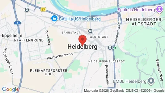 Apartments for rent in Heidelberg - Photo from Google Street View