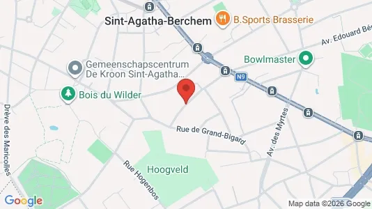 Apartments for rent i Brussels Sint-Agatha-Berchem - kort over placeringen