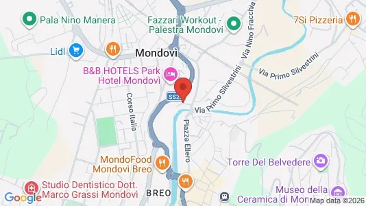 Apartments for rent i Mondovì - kort over placeringen