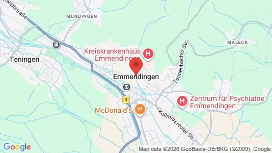 Apartments for rent in Emmendingen - Photo from Google Street View