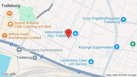 Apartments for rent i Trelleborg - kort over placeringen