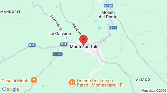 Apartments for rent i Montespertoli - kort over placeringen