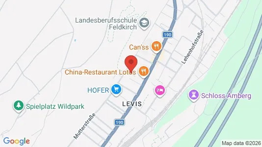 Apartments for rent in Feldkirch - Photo from Google Street View