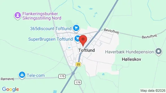 Houses for rent i Toftlund - kort over placeringen