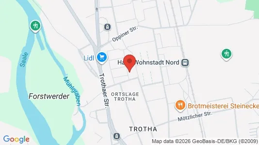 Apartments for rent i Halle (Saale) - kort over placeringen