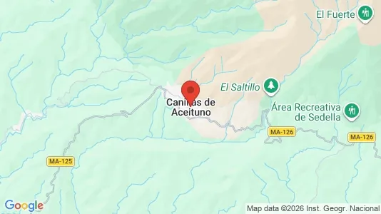 Apartments for rent i Canillas de Aceituno - kort over placeringen