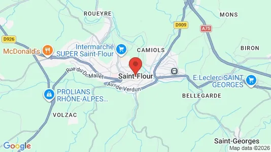 Apartments for rent i Saint-Flour - kort over placeringen