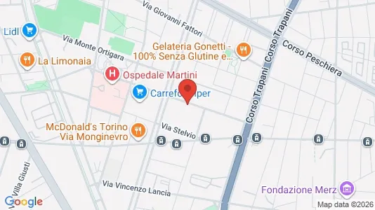 Apartments for rent i Turin - kort over placeringen