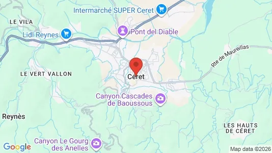 Houses for rent i Céret - kort over placeringen