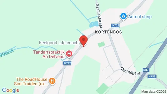 Apartments for rent i Sint-Truiden - kort over placeringen