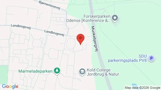 Apartments for rent i Odense S - kort over placeringen