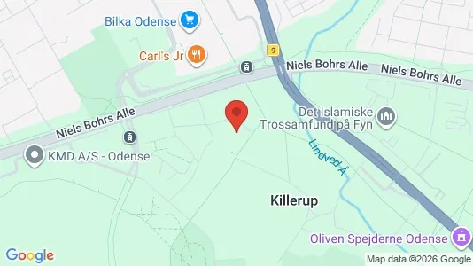 Apartments for rent i Odense M - kort over placeringen