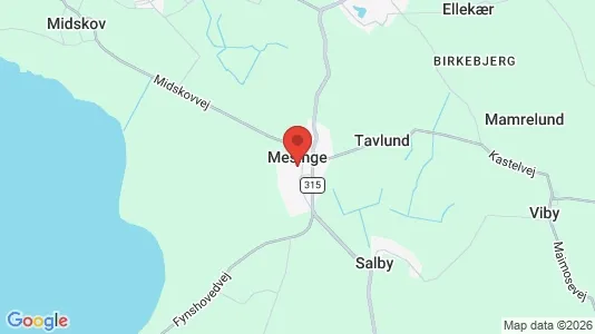 Houses for rent i Mesinge - kort over placeringen