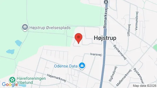 Apartments for rent i Odense V - kort over placeringen
