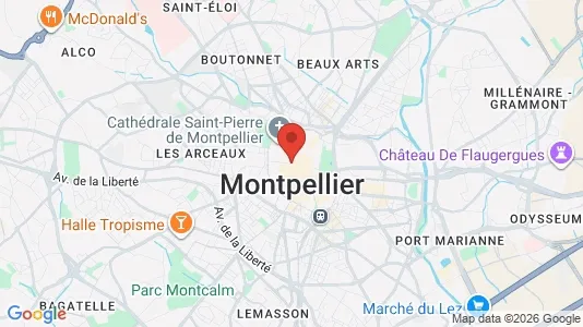 Houses for rent i Montpellier - kort over placeringen