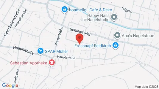 Apartments for rent i Feldkirch - kort over placeringen