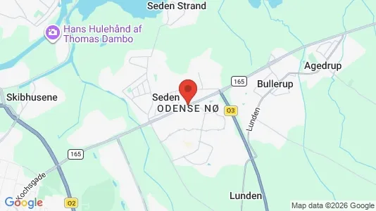 Houses for rent i Odense NØ - kort over placeringen