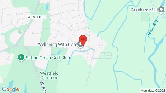 Apartments for rent i Woking - Surrey - kort over placeringen