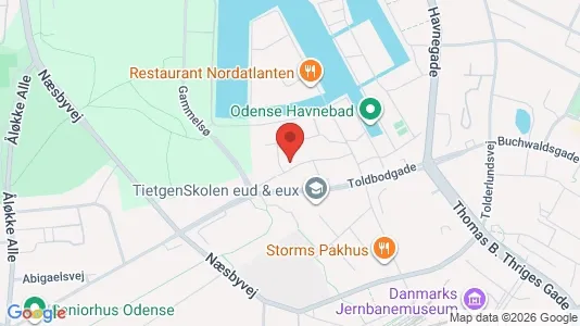 Apartments for rent i Odense C - kort over placeringen
