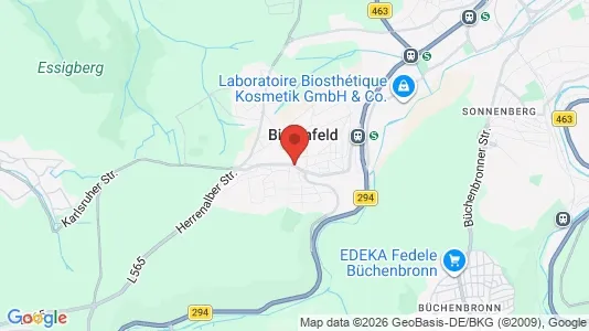 Apartments for rent i Enzkreis - kort over placeringen