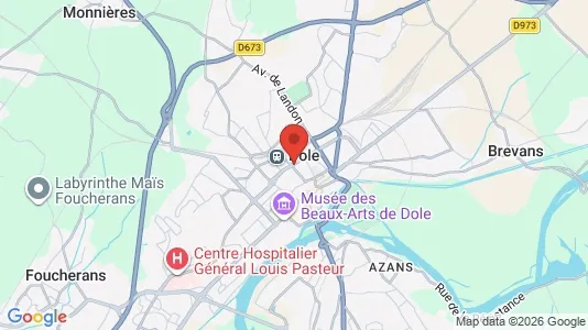Apartments for rent i Dole - kort over placeringen