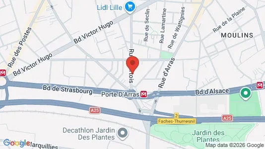 Apartments for rent i Lille - kort over placeringen